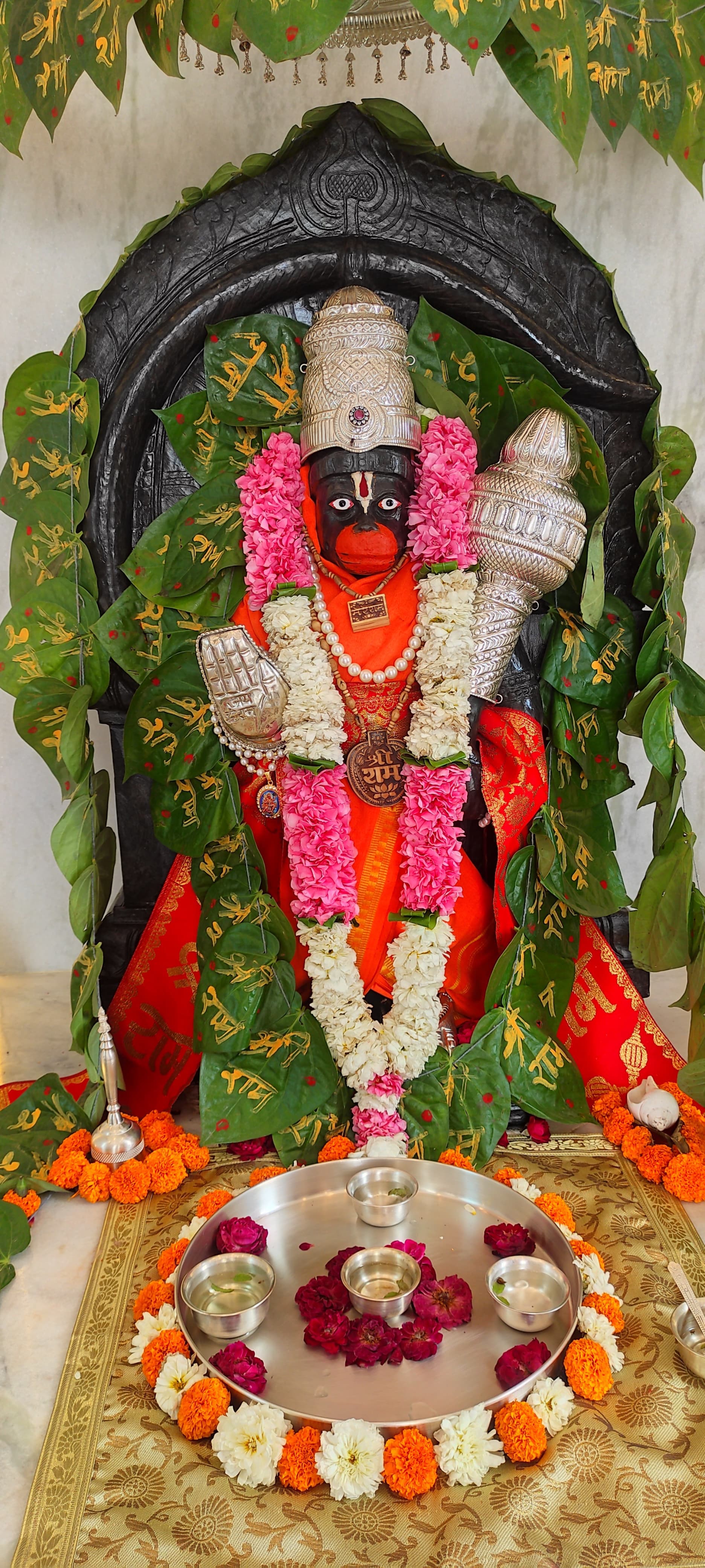 Devotee Gathering